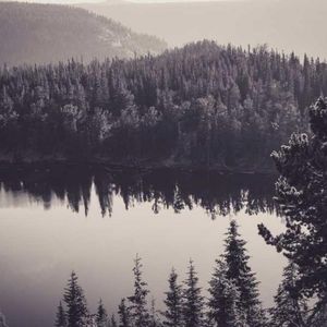 Meet your Posher, Jodi